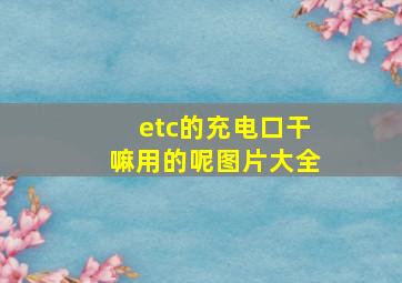 etc的充电口干嘛用的呢图片大全