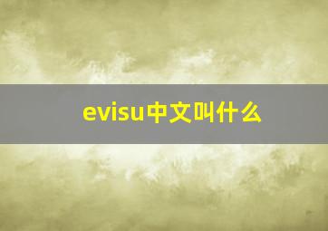 evisu中文叫什么