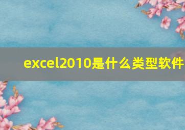 excel2010是什么类型软件