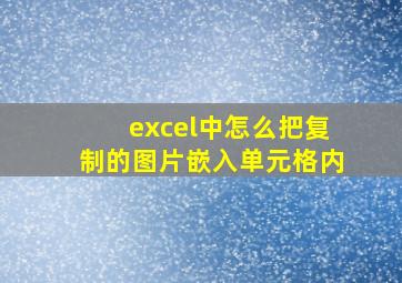 excel中怎么把复制的图片嵌入单元格内