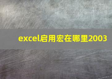 excel启用宏在哪里2003