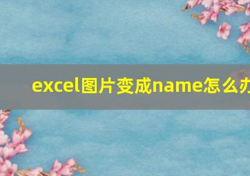 excel图片变成name怎么办