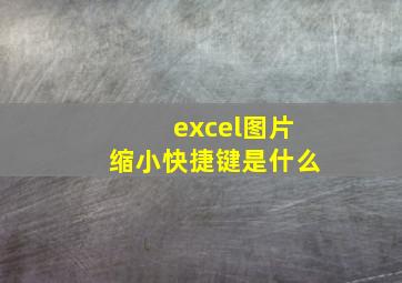 excel图片缩小快捷键是什么