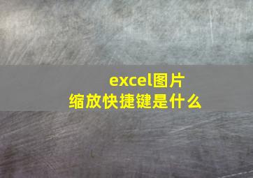 excel图片缩放快捷键是什么