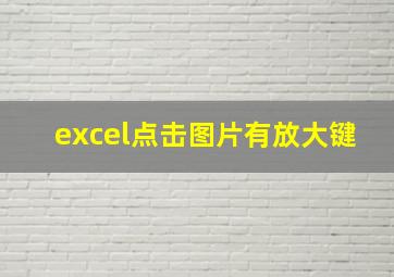 excel点击图片有放大键