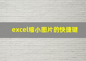 excel缩小图片的快捷键