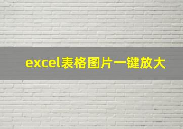 excel表格图片一键放大