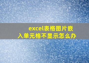 excel表格图片嵌入单元格不显示怎么办