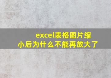 excel表格图片缩小后为什么不能再放大了