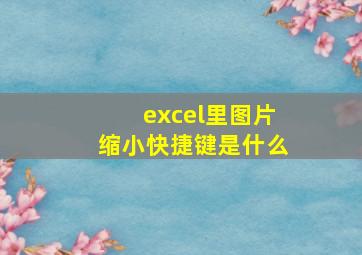 excel里图片缩小快捷键是什么