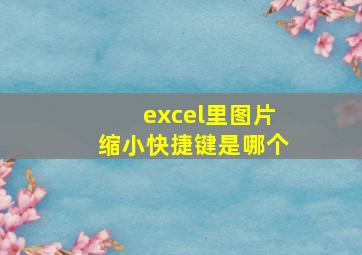 excel里图片缩小快捷键是哪个