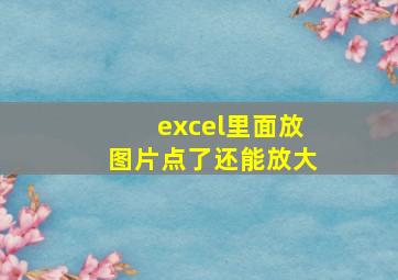 excel里面放图片点了还能放大