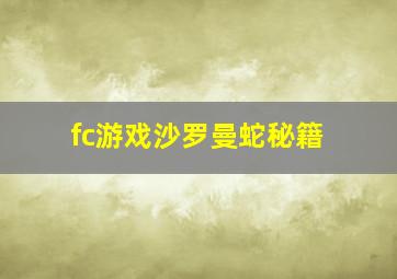 fc游戏沙罗曼蛇秘籍