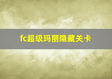 fc超级玛丽隐藏关卡