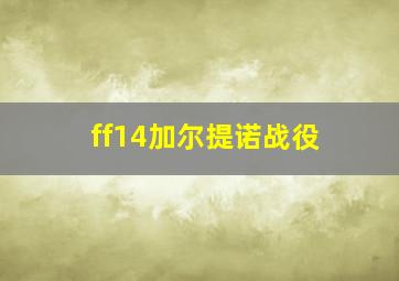 ff14加尔提诺战役