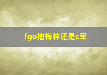 fgo抽梅林还是c呆