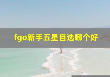 fgo新手五星自选哪个好