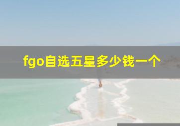 fgo自选五星多少钱一个