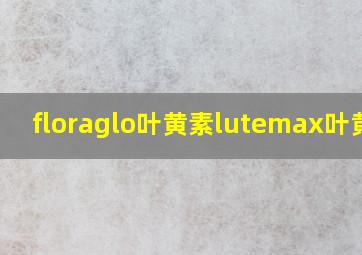 floraglo叶黄素lutemax叶黄素