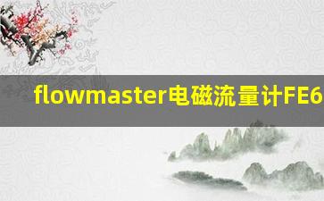 flowmaster电磁流量计FE6100W