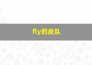 fly的战队