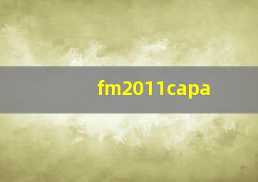 fm2011capa