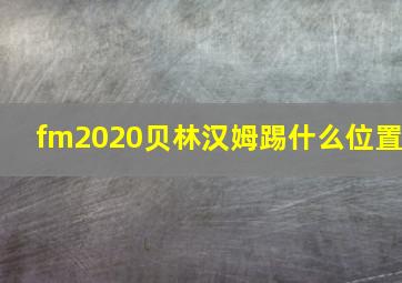 fm2020贝林汉姆踢什么位置