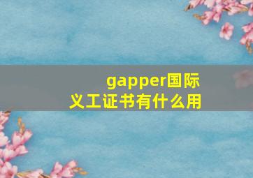 gapper国际义工证书有什么用