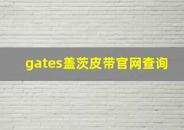 gates盖茨皮带官网查询