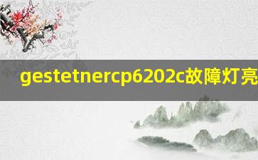 gestetnercp6202c故障灯亮图解