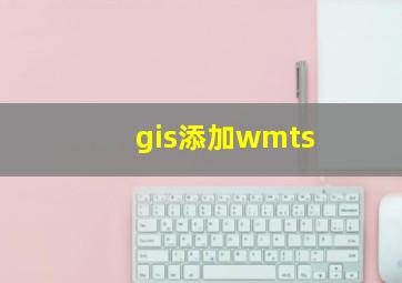 gis添加wmts