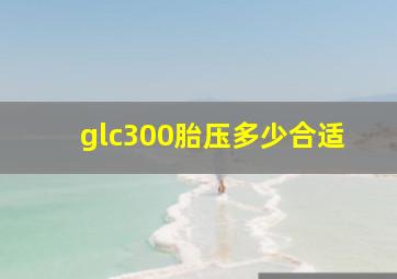 glc300胎压多少合适