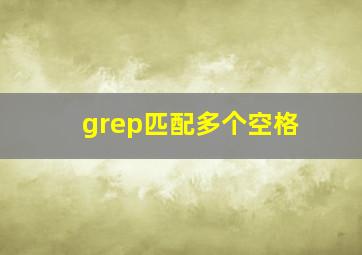 grep匹配多个空格