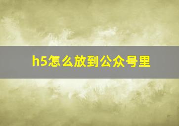 h5怎么放到公众号里