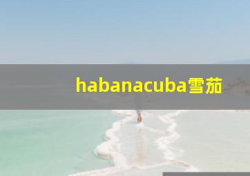 habanacuba雪茄