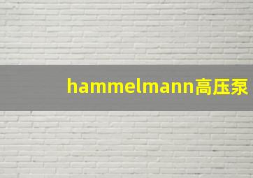 hammelmann高压泵