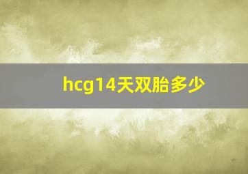 hcg14天双胎多少