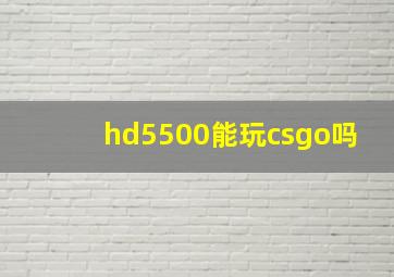 hd5500能玩csgo吗