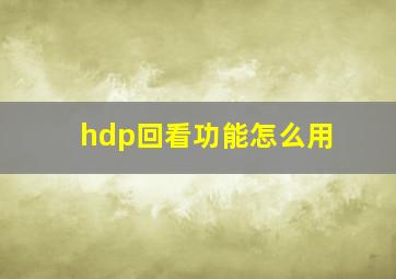 hdp回看功能怎么用