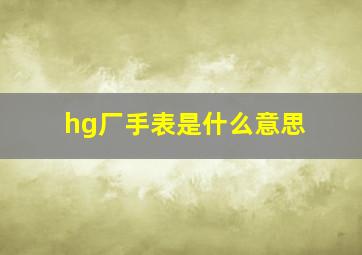 hg厂手表是什么意思