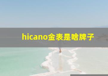 hicano金表是啥牌子