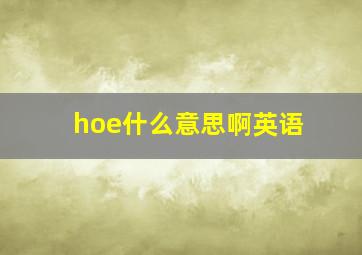 hoe什么意思啊英语