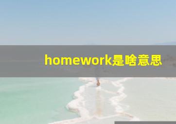 homework是啥意思