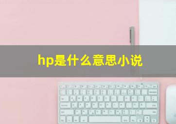 hp是什么意思小说