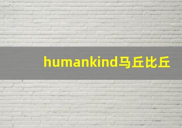 humankind马丘比丘