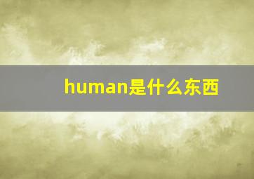 human是什么东西