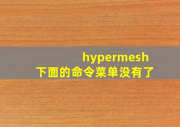 hypermesh下面的命令菜单没有了