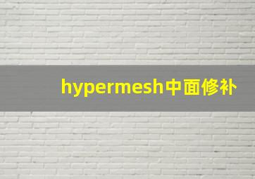 hypermesh中面修补