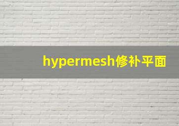 hypermesh修补平面