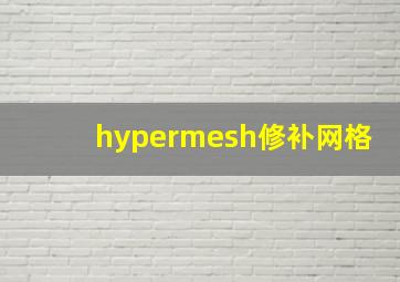 hypermesh修补网格